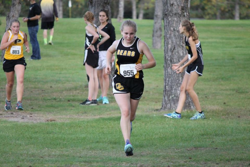 ClearbrookGonvick District 2311 Cross Country results and photos